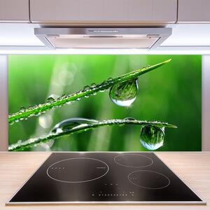Kuchyňský skleněný panel Tráva Rosa Kapky 140x70 cm
