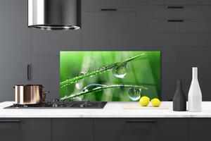 Kuchyňský skleněný panel Tráva Rosa Kapky 120x60 cm