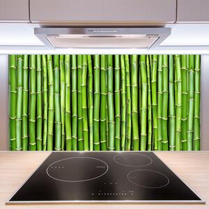 Kuchyňský skleněný panel Bambus Květ Rostlina 100x50 cm