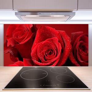 Kuchyňský skleněný panel Růže Květiny 140x70 cm