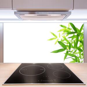 Kuchyňský skleněný panel Listy Příroda Rostlina 140x70 cm