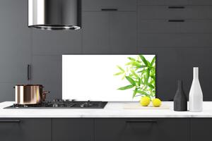 Kuchyňský skleněný panel Listy Příroda Rostlina 140x70 cm