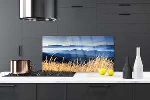 Kuchyňský skleněný panel Pole Krajina 140x70 cm