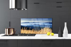 Kuchyňský skleněný panel Pole Krajina 140x70 cm