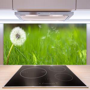 Kuchyňský skleněný panel Pampeliška Tráva Rostlina 140x70 cm