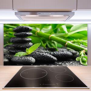Kuchyňský skleněný panel Bambus Kameny Rostlina 100x50 cm