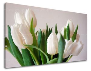 Obraz na stěnu KVĚTY TULIPÁNY XOBKV108E11