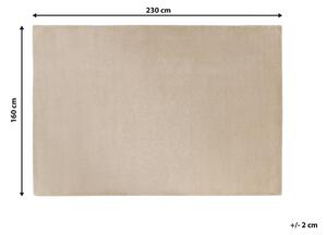 Viskózový koberec 160 x 230 cm béžový GESI II