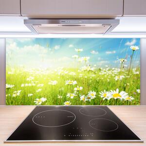 Kuchyňský skleněný panel Louka Sedmikrásky Příroda 120x60 cm