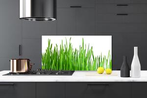 Kuchyňský skleněný panel Tráva Rostlina Příroda 140x70 cm