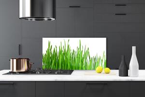 Kuchyňský skleněný panel Tráva Rostlina Příroda 140x70 cm