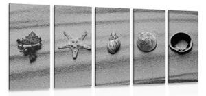 5-dílný obraz mušle na písečné pláži v černobílém provedení - 100x50 cm