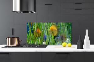 Skleněné obklady do kuchyně Ryba Řasy Příroda 140x70 cm