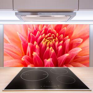 Skleněné obklady do kuchyně Květ Rostlina Příroda 100x50 cm
