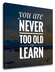 Motivační obraz na zeď You are never too old