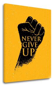 Motivační obraz na zeď Never give up