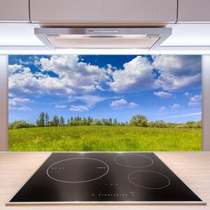 Skleněné obklady do kuchyně Louka Tráva Nebe Krajina 125x50 cm