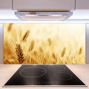 Skleněné obklady do kuchyně Pšenice Rostlina Příroda 120x60 cm