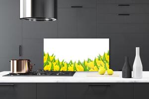 Skleněné obklady do kuchyně Květiny Příroda Tulipány 125x50 cm