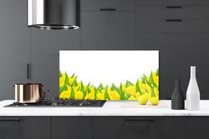 Skleněné obklady do kuchyně Květiny Příroda Tulipány 125x50 cm