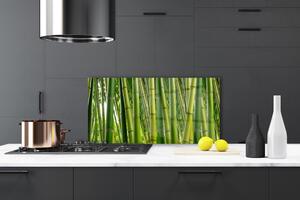 Skleněné obklady do kuchyně Bambusový Les Bambusové Výhonky 125x50 cm