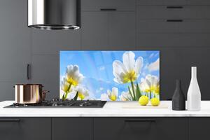 Skleněné obklady do kuchyně Rostliny Květiny Tulipány 125x50 cm