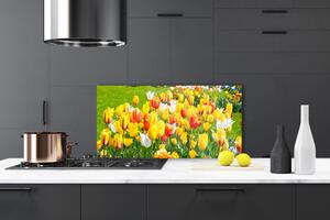 Skleněné obklady do kuchyně Tulipány Květiny Příroda 120x60 cm