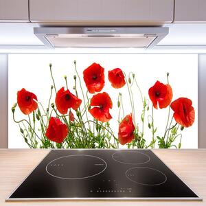 Skleněné obklady do kuchyně Máky Květiny Příroda 120x60 cm