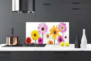 Skleněné obklady do kuchyně Barevné Květiny Příroda 140x70 cm