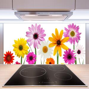 Skleněné obklady do kuchyně Barevné Květiny Příroda 125x50 cm