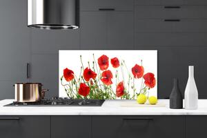 Skleněné obklady do kuchyně Máky Květiny Příroda 140x70 cm