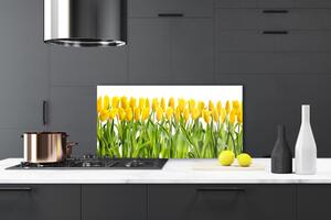 Skleněné obklady do kuchyně Tulipány Květiny Příroda 125x50 cm