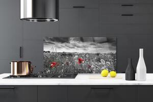 Skleněné obklady do kuchyně Louka Květiny Krajina 125x50 cm