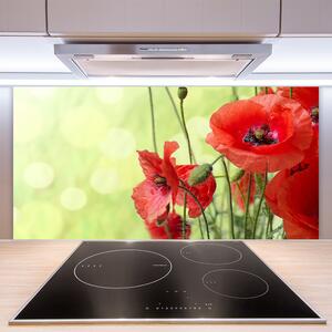 Skleněné obklady do kuchyně Máky Květiny Příroda 125x50 cm
