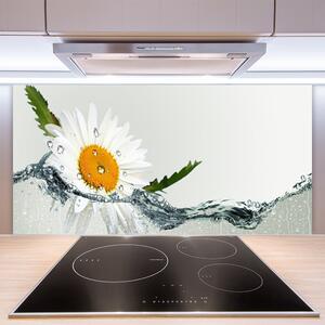 Skleněné obklady do kuchyně Sedmikráska ve Vodě 100x50 cm