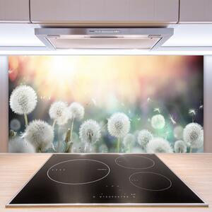 Skleněné obklady do kuchyně Pampelišky Květiny Příroda 140x70 cm