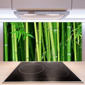 Skleněné obklady do kuchyně Bambusový Les Bambus Příroda 125x50 cm