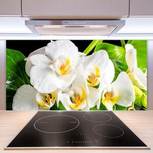 Skleněné obklady do kuchyně Orchidej Květiny Příroda 140x70 cm