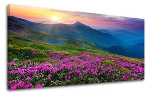 Nástěnná malba PANORAMA SLOVENSKO SK031E13