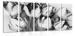 5-dílný obraz jarní tulipány v černobílém provedení - 100x50 cm