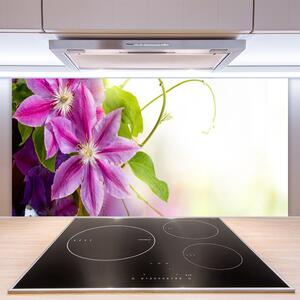 Skleněné obklady do kuchyně Květiny Příroda 125x50 cm