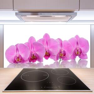 Skleněné obklady do kuchyně Růžová Orchidej Květiny 125x50 cm