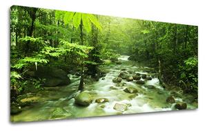 Obraz na stěnu PANORÁMA STROMY ST034E13