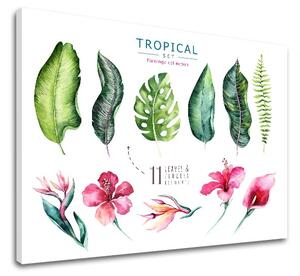 Obraz na zeď s textem Tropical set flamingo