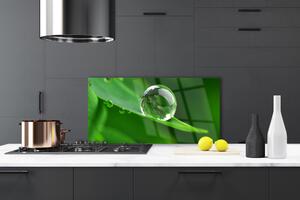 Kuchyňský skleněný panel List Voda Kapka Rostlina 120x60 cm