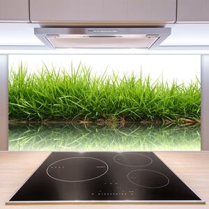 Kuchyňský skleněný panel Tráva Voda Příroda Rostlina 140x70 cm
