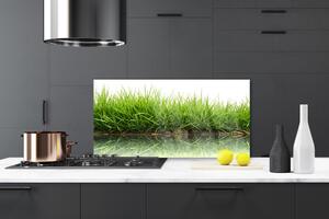 Kuchyňský skleněný panel Tráva Voda Příroda Rostlina 125x50 cm