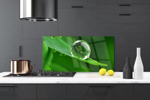 Kuchyňský skleněný panel List Voda Kapka Rostlina 120x60 cm