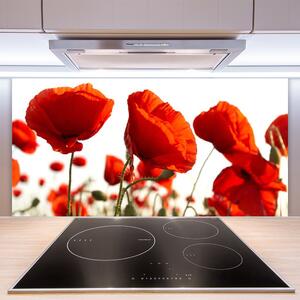 Kuchyňský skleněný panel Máky Rostlina Příroda 100x50 cm