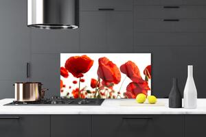 Kuchyňský skleněný panel Máky Rostlina Příroda 120x60 cm